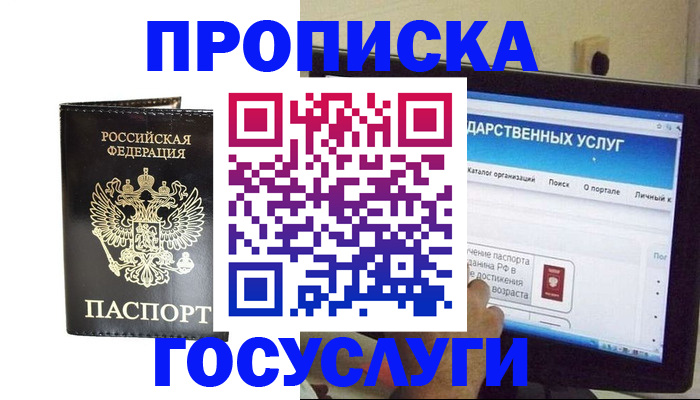 прописка гарантия в Малой Вишере